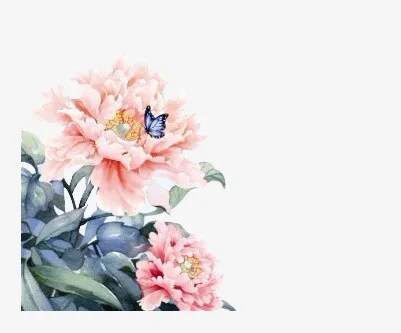 牡丹花免抠
