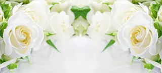 简约唯美白色花朵浅色背景海报背景