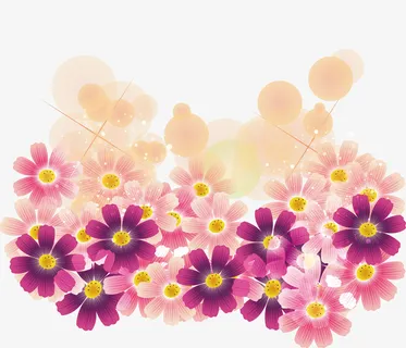 紫色清新花丛光晕免抠