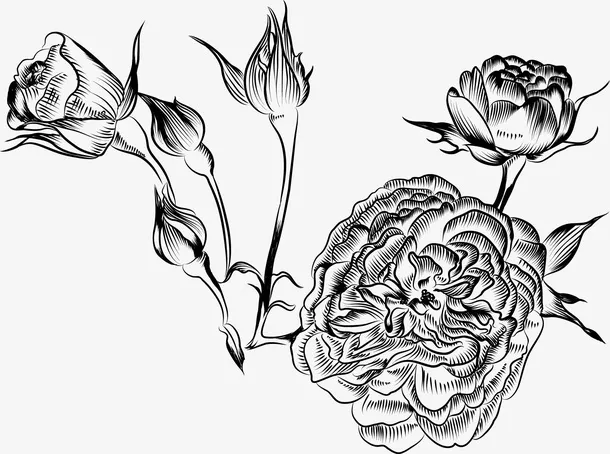 手绘的花朵免抠