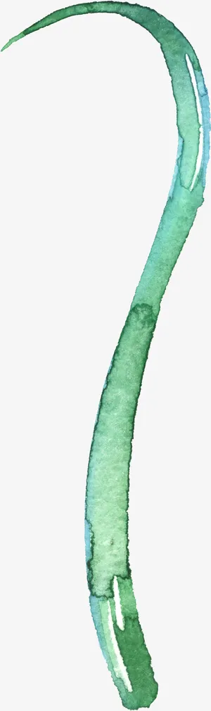 ps花卉素材植物花卉素材免抠