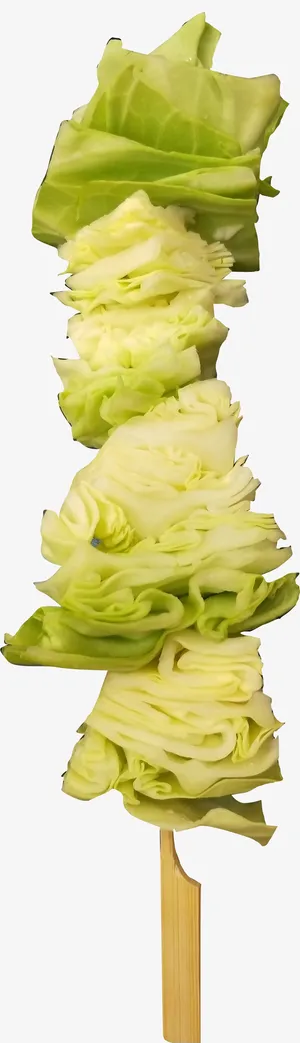 美味的包菜串串免抠 美味的包菜串串免抠