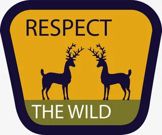 藏羚羊标签免抠