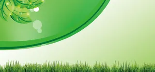 绿色背景