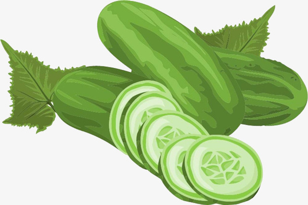 黄瓜插画免抠