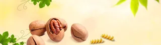 核桃banner创意设计