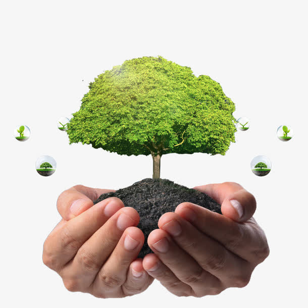 爱护环境素材下载免抠动植物植物元素
