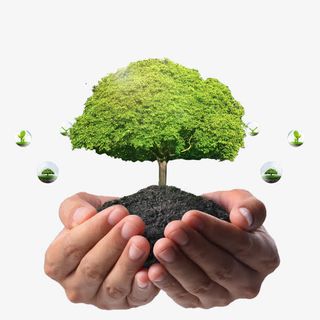 爱护环境素材下载免抠动植物植物元素