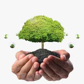 爱护环境素材下载免抠动植物植物元素