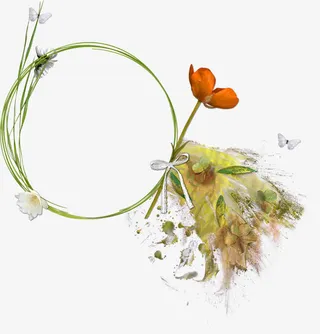 花框 花边免抠