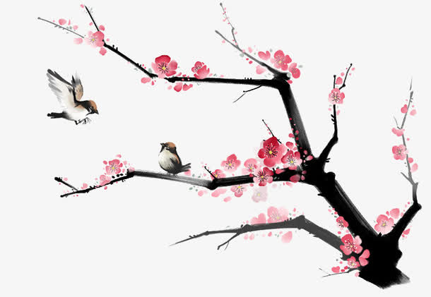 梅花免抠
