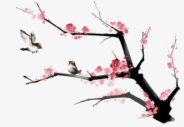 梅花免抠