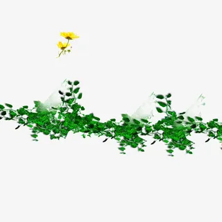 绿色蔓藤免抠