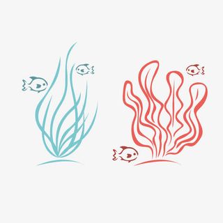 水草海带海底简笔免抠