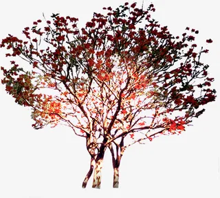 日光创意树木园林免抠