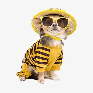 穿衣服的小狗免抠