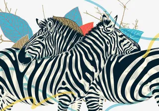 2017两只斑马免抠