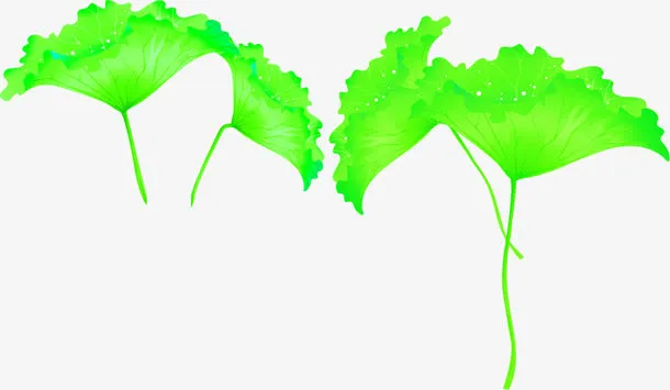 翠绿色荷叶素材免抠