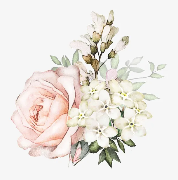 手绘水彩鲜花装饰免抠