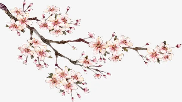 手绘古典艺术梅花免抠