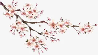 手绘古典艺术梅花免抠