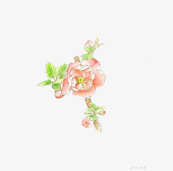手绘水彩花朵2免抠