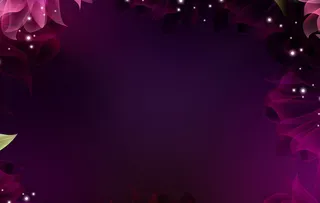 紫色的世界高清