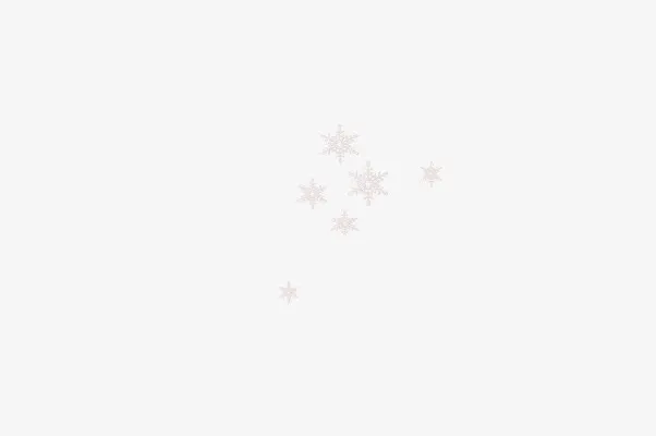 漂浮纯白雪花免抠