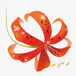 红色弯曲花瓣花朵免抠