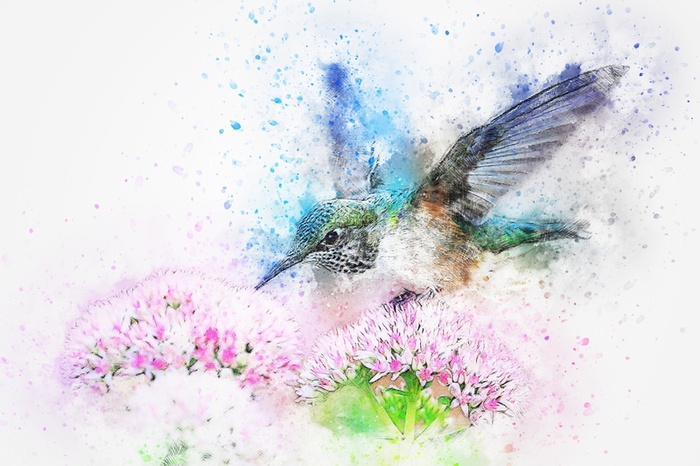 插画免扣抽象蝴蝶高清