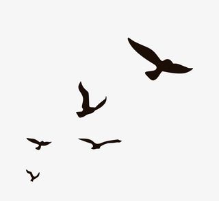 黑色飞禽动物飞翔免抠