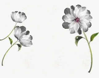 漂浮白色小花免抠