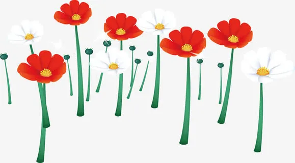 清新高清花坪免抠