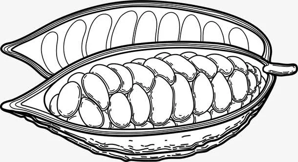 线描可可果实免抠