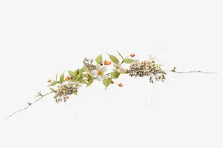 漂亮花边花冠免抠