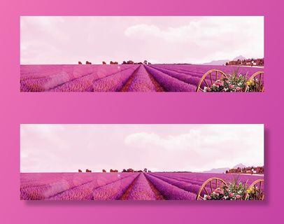 薰衣草背景免抠