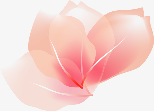 粉色美丽花朵免抠