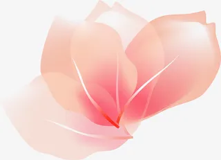粉色美丽花朵免抠