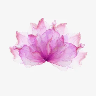 粉色的水彩花免抠