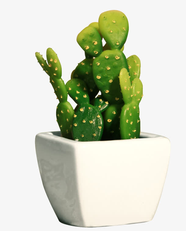 仙人掌盆景绿色植物免抠