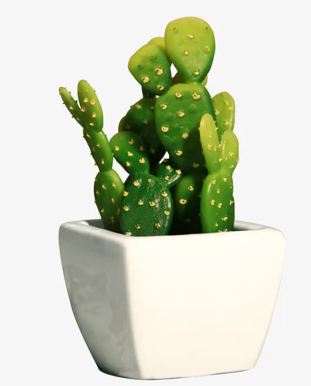 仙人掌盆景绿色植物免抠