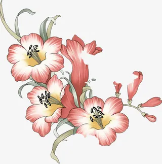 手绘牵牛花生日卡片免抠