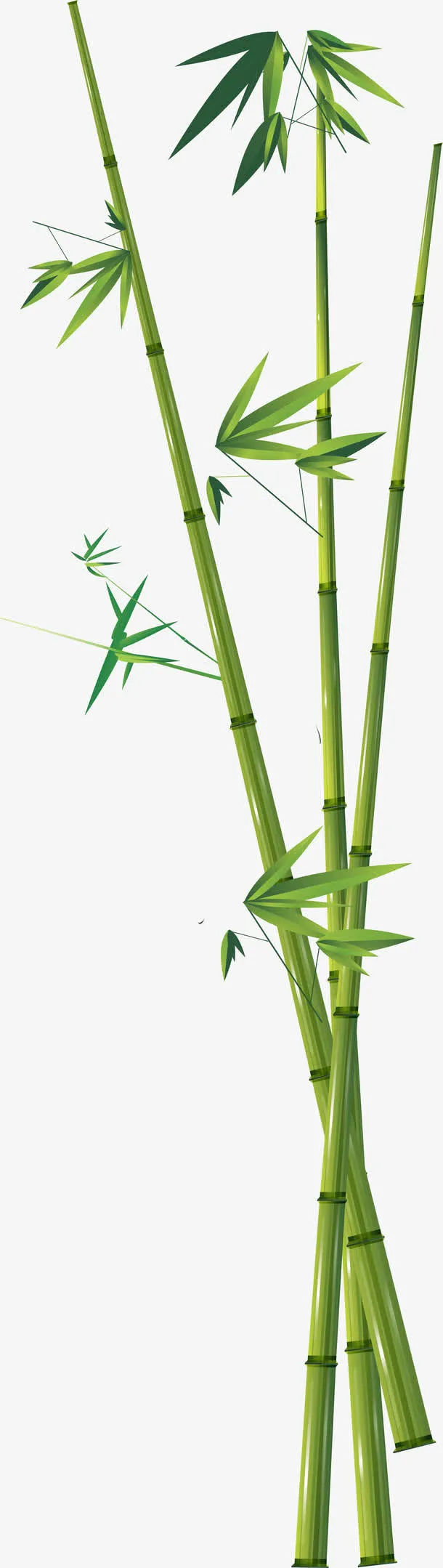 叶子免抠