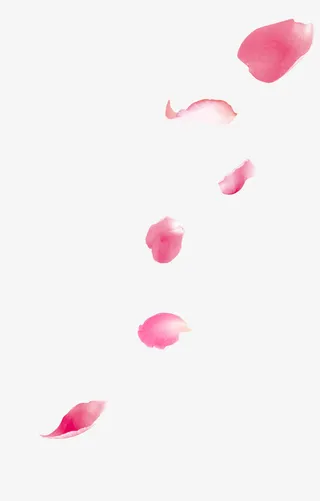 唯美粉红色花瓣飘落免抠