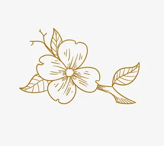 桃花枝干桃花简笔画免抠