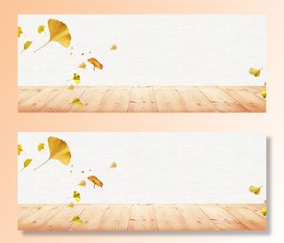 秋季银杏叶飞舞淘宝背景高清文艺清新背景