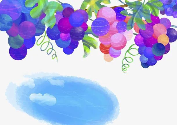葡萄插画免抠