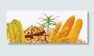 农作物组合免抠