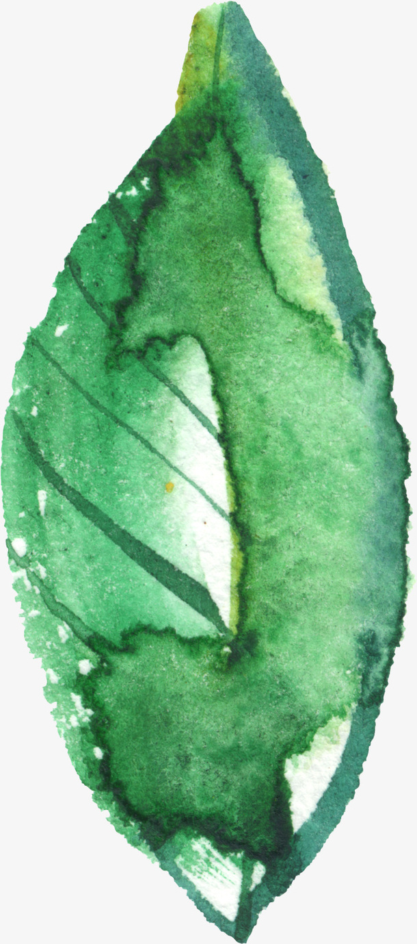 鲜花花卉免抠
