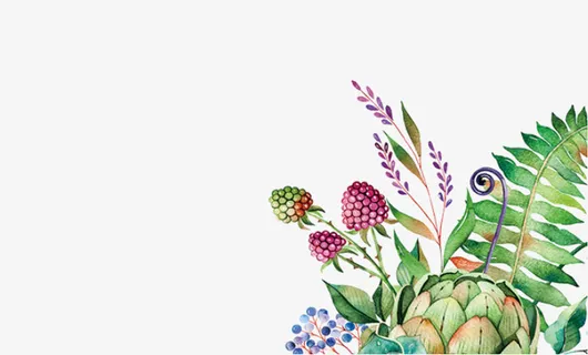 手绘唯美小清新装饰花草免抠